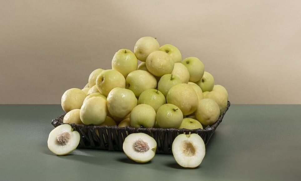 النبق الفارسي: سر الصحة والجمال في حبة واحدة